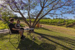 Hunter Valley private tour