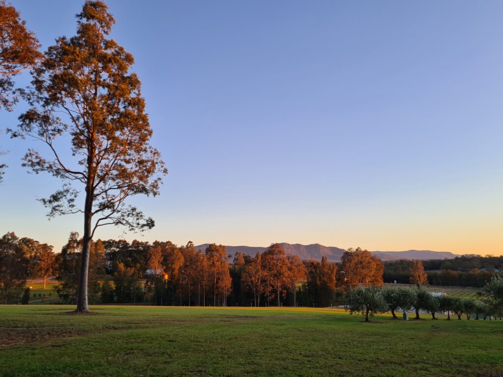 The view from Hunter Gleann, Hunter Valley!