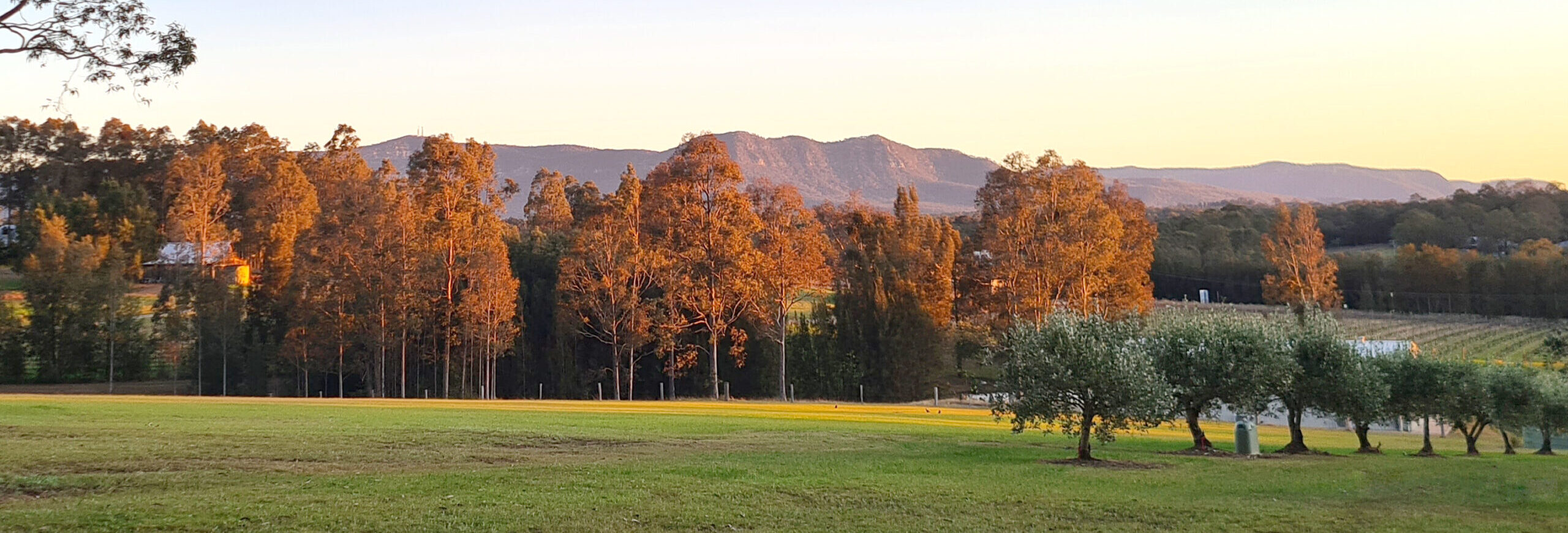 Hunter Gleann View- Hunter Valley Accommodation- Cottage King Bedroom Sitting Space